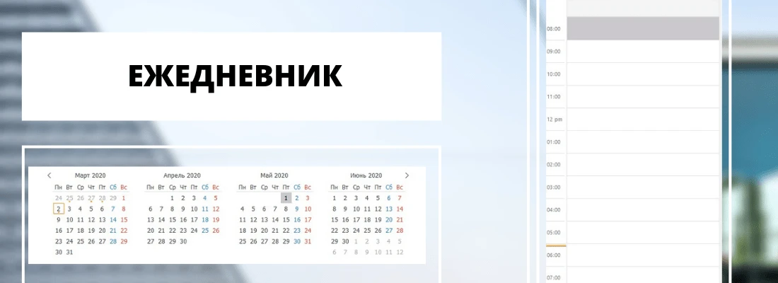 Варианты ежедневника