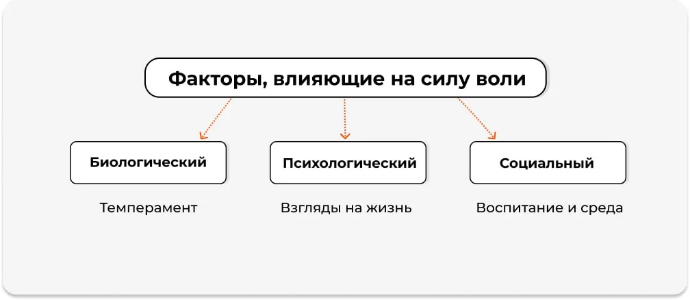 Факторы, влияющие на силу воли