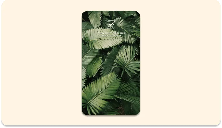 Обои папоротники ЛидерТаск