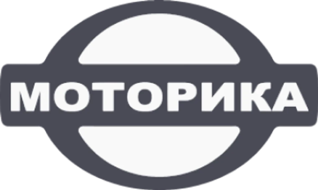 Моторика