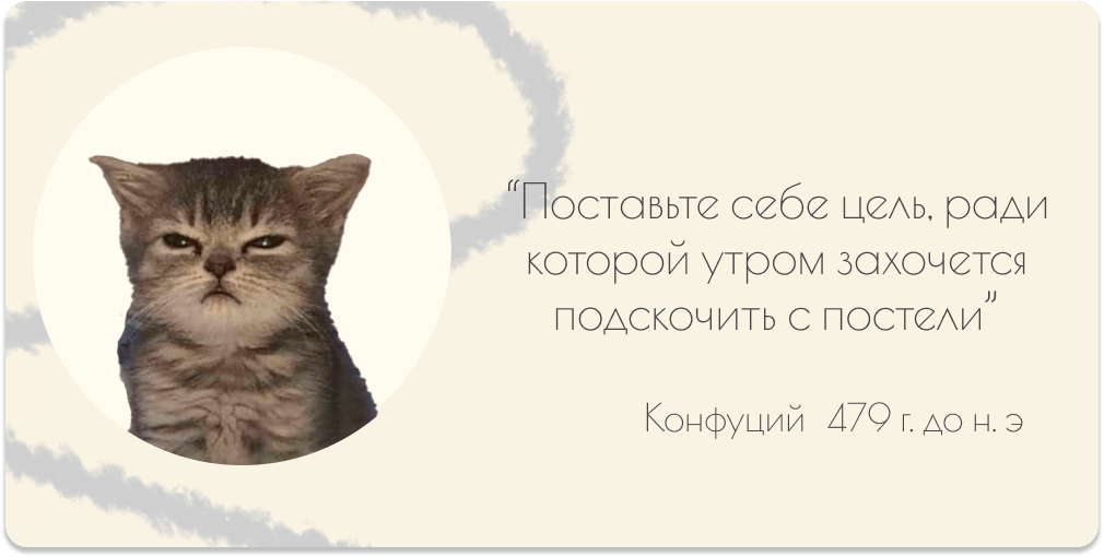 котенок с целью