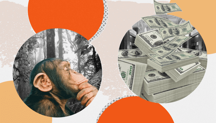 обезьяна и деньги