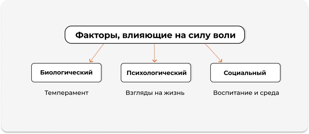 Факторы, влияющие на силу воли